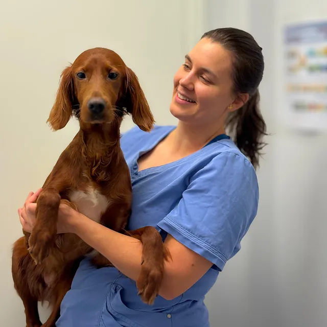 Bilde av ansatt ved veterinærklinikk